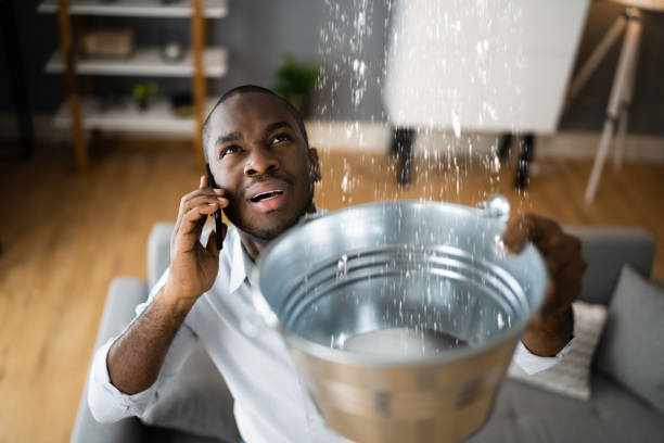 Best Sewage cleanup and water damage restoration  in Joplin, MO