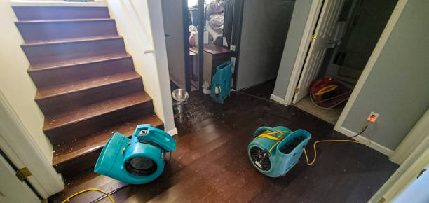 Best Fire Damage Restoration  in Joplin, MO