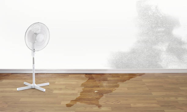 Best 24/7 water damage repair  in Joplin, MO