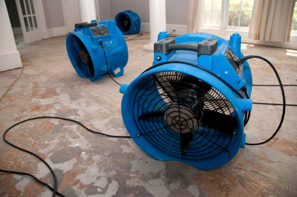 Best Emergency water extraction  in Joplin, MO