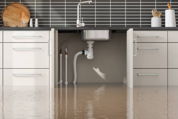 Best Water damage contractors near me  in Joplin, MO