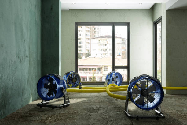 Best Fire Damage Restoration  in Joplin, MO